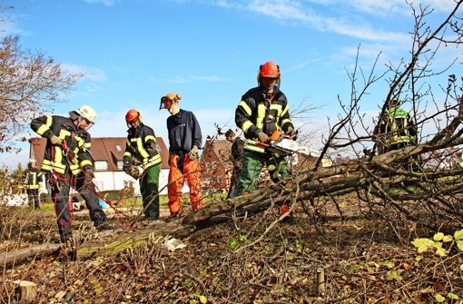 Foto: Stuttgarter Nachrichten / Chris Lederer