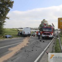 Tödlicher Verkehrsunfall auf B10 - Frau und Hund sterben, mehrere FZ beteiligt