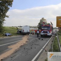 Tödlicher Verkehrsunfall auf B10 - Frau und Hund sterben, mehrere FZ beteiligt