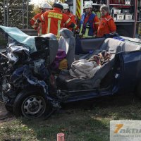 Tödlicher Verkehrsunfall auf B10 - Frau und Hund sterben, mehrere FZ beteiligt