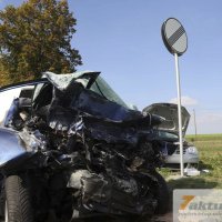 Tödlicher Verkehrsunfall auf B10 - Frau und Hund sterben, mehrere FZ beteiligt