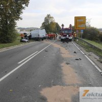 Tödlicher Verkehrsunfall auf B10 - Frau und Hund sterben, mehrere FZ beteiligt