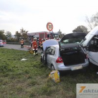 Tödlicher Verkehrsunfall auf B10 - Frau und Hund sterben, mehrere FZ beteiligt