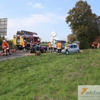 Tödlicher Verkehrsunfall auf B10 - Frau und Hund sterben, mehrere FZ beteiligt