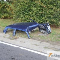 Tödlicher Verkehrsunfall auf B10 - Frau und Hund sterben, mehrere FZ beteiligt