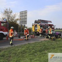 Tödlicher Verkehrsunfall auf B10 - Frau und Hund sterben, mehrere FZ beteiligt