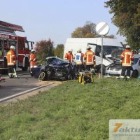 Tödlicher Verkehrsunfall auf B10 - Frau und Hund sterben, mehrere FZ beteiligt