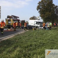 Tödlicher Verkehrsunfall auf B10 - Frau und Hund sterben, mehrere FZ beteiligt