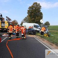 Tödlicher Verkehrsunfall auf B10 - Frau und Hund sterben, mehrere FZ beteiligt