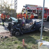 Tödlicher Verkehrsunfall auf B10 - Frau und Hund sterben, mehrere FZ beteiligt